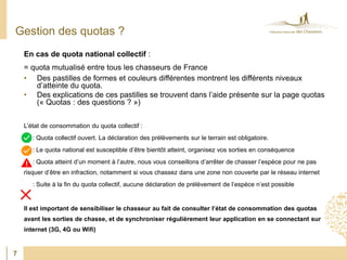 En cas de quota national collectif :
= quota mutualisé entre tous les chasseurs de France
• Des pastilles de formes et cou...