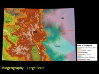 Biogeography – Large Scale
 