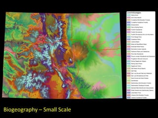 Biogeography – Small Scale
 