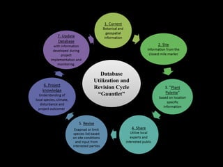 Database
Utilization and
Revision Cycle
“Gauntlet”
 