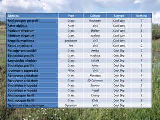 Species Type Cultivar Ecotype Ranking
Andropogon gerardii Grass Rountree Cool Wet 6
Aster alpinus Aster VNS Cool Wet 4
Panicum virgatum Grass Shelter Cool Wet 3
Panicum virgatum Grass Kanlow Cool Wet 2
Armeria maritima Leadwort VNS Cool Wet 1
Apios americana Pea VNS Cool Wet 0
Pascopyrum smithii Grass Arriba Cool Dry 6
Bouteloua gracilis Grass Hachita Cool Dry 6
Sporobolus airoides Grass Saltalk Cool Dry 6
Bouteloua gracilis Grass Alma Cool Dry 5
Ipomopsis aggregata Phlox VNS Cool Dry 5
Agropyron cristatum Grass Abruzzes Cool Dry 4
Agropyron cristatum Grass SD Common Cool Dry 4
Bouteloua eriopoda Grass Sonora Cool Dry 3
Bouteloua eriopoda Grass Nogal Cool Dry 3
Andropogon hallii Grass Cherry Cool Dry 3
Andropogon hallii Grass Elida Cool Dry 3
Geranium viscosissimum Geranium VNS Cool Dry 0
 