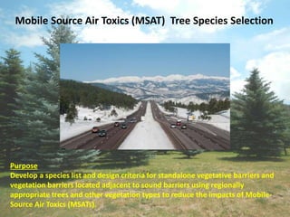 Mobile Source Air Toxics (MSAT) Tree Species Selection
Purpose
Develop a species list and design criteria for standalone vegetative barriers and
vegetation barriers located adjacent to sound barriers using regionally
appropriate trees and other vegetation types to reduce the impacts of Mobile-
Source Air Toxics (MSATs).
 