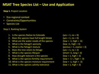 MSAT Tree Species List – Use and Application
Step 1. Project Location
• Eco-regional context
• Constraints/Opportunities
• Species List
Step 2. Ranking System
1. Is the species Native to Colorado (yes = 1, no = 0)
2. Does the species have full length foliate (yes = 1, no = 0)
3. What are the water needs of the species (low = -1, high = -6)
4. What is the foliage’s porosity (low =1, high = 3)
5. What is the foliage’s texture (porous = 1, coarse = 3)
6. Does the tree retain its foliage (yes = 1, no = 2)
7. What is the species lifespan (short =1, long = 3)
8. How drought tolerant is the species (low = 1, high = 3)
9. What is the species fertility requirement (low = -1 =, high = -3)
10. What is the species moisture requirement (low = -1, high = -3)
11. What is the species salinity tolerance (low = 1, high = 3)
 