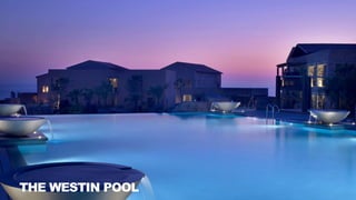 THE WESTIN POOL
 