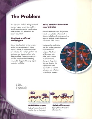 brochure_cobe | PDF