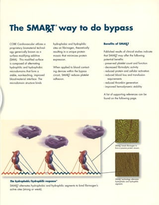 brochure_cobe | PDF