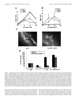 elegans egg-laying behavior that were long lasting and speciﬁc.
Overnight treatment with nicotine induced a strong and persistent
resistance to the stimulation of egg-laying by levamisole and re-
sulted in an altered egg-laying pattern resembling that of nicotinic
receptor-deﬁcient mutants. Yet this adaptation to nicotine did not
prevent egg-laying muscle contraction per se, nor did it affect the
stimulation of egg-laying by noncholinergic agents such as seroto-
nin. Chronic nicotine treatment also attenuated the levamisole
responses of animals expressing functional UNC-29 protein only in
the vulval muscles, indicating that the behavioral effects of long-
Figure 6. Dependence of nicotine adaptation on PKC. A, Response of tpa-1 mutants to levamisole. Levamisole dose–response curves for wild-type (N2)
and tpa-1 mutant animals are shown. Animals were assayed for 4 hr under the indicated condition; points and error bars indicate the mean and SEM of
at least 12 trials. B, Defect of tpa-1 mutants in nicotine adaptation. Levamisole dose–response curves (assayed at 4 hr) for wild-type and tpa-1 mutant
strains after overnight treatment with 30 mM nicotine are shown. Points and error bars indicate the mean and SEM of at least 12 trials. The responses of
both tpa-1 mutants were signiﬁcantly greater than that of the wild-type under this condition according to the Mann–Whitney rank-sum test (*p Ͻ 0.001).
By the same test, the tpa-1 mutants showed no signiﬁcant reduction in response to levamisole after overnight nicotine treatment ( p Ͼ 0.5). C, Effect of
nicotine on vulval muscle UNC-29 protein levels in tpa-1 mutants. Shown here are digital images of naive (left) and nicotine-treated (right) tpa-1 mutant
hermaphrodites expressing UNC-29::GFP in the vulval muscles under the control of the myo-3 promoter (see Fig. 4). Long arrows indicate vulval muscles,
and a short arrow indicates the vulva. Animals of the strain AQ521 (genotype, unc-29(x29); tpa-1(k501); Ex [pmyo-3::unc-29::GFP; rol-6d]) were cultured
on NGM containing 30 mM nicotine overnight; UNC-29::GFP ﬂuorescence was measured as described previously. D, Quantiﬁcation of UNC-29::GFP and
SNB-1::GFP ﬂuorescence in nicotine-treated and untreated animals. The average intensity of ﬂuorescence for nicotine-treated and naive animals
expressing UNC-29::GFP protein under the control of the unc-29 promoter (unc-29::GFP) or the myo-3 promoter (myo-3::unc-29::GFP) or the synaptic
marker VAMP::GFP under the control of the VC-speciﬁc unc-4 promoter ( punc-4::snb-1::GFP) are shown. Asterisks indicate signiﬁcantly less ﬂuorescence
after nicotine treatment according to the Mann–Whitney rank-sum test (*p Ͻ 0.001). The histogram and error bars represent the mean and SEM of ﬁve trials.
Waggoner et al. • Long-Term Effects of Nicotine in C. elegans J. Neurosci., December 1, 2000, 20(23):8802–8811 8809
 
