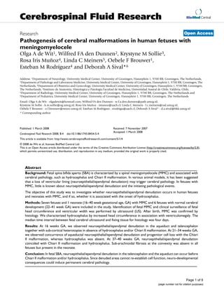 BioMed Central
Page 1 of 9
(page number not for citation purposes)
Cerebrospinal Fluid Research
Open AccessResearch
Pathogenesis of cerebral malformations in human fetuses with
meningomyelocele
Olga A de Wit1, Wilfred FA den Dunnen2, Krystyne M Sollie3,
Rosa Iris Muñoz4, Linda C Meiners5, Oebele F Brouwer1,
Esteban M Rodríguez4 and Deborah A Sival*6
Address: 1Department of Neurology, University Medical Center, University of Groningen, Hanzeplein 1, 9700 RB, Groningen, The Netherlands,
2Department of Pathology and Laboratory Medicine, University Medical Center, University of Groningen, Hanzeplein 1, 9700 RB, Groningen, The
Netherlands, 3Department of Obstetrics and Gynecology, University Medical Center, University of Groningen, Hanzeplein 1, 9700 RB, Groningen,
The Netherlands, 4Instituto de Anatomía, Histologíca y Patología Facultad de Medicina, Universidad Austral de Chile, Valdivia, Chile,
5Department of Radiology, University Medical Center, University of Groningen, Hanzeplein 1, 9700 RB, Groningen, The Netherlands and
6Department of Pediatrics, University Medical Center, University of Groningen, Hanzeplein 1, 9700 RB, Groningen, The Netherlands
Email: Olga A de Wit - olgadewit@hotmail.com; Wilfred FA den Dunnen - w.f.a.den.dunnen@path.umcg.nl;
Krystyne M Sollie - k.m.sollie@og.umcg.nl; Rosa Iris Muñoz - imunoz@uach.cl; Linda C Meiners - l.c.meiners@rad.umcg.nl;
Oebele F Brouwer - o.f.brouwer@neuro.umcg.nl; Esteban M Rodríguez - erodrigu@uach.cl; Deborah A Sival* - d.a.sival@bkk.umcg.nl
* Corresponding author
Abstract
Background: Fetal spina bifida aperta (SBA) is characterized by a spinal meningomyelocele (MMC) and associated with
cerebral pathology, such as hydrocephalus and Chiari II malformation. In various animal models, it has been suggested
that a loss of ventricular lining (neuroepithelial/ependymal denudation) may trigger cerebral pathology. In fetuses with
MMC, little is known about neuroepithelial/ependymal denudation and the initiating pathological events.
The objective of this study was to investigate whether neuroepithelial/ependymal denudation occurs in human fetuses
and neonates with MMC, and if so, whether it is associated with the onset of hydrocephalus.
Methods: Seven fetuses and 1 neonate (16–40 week gestational age, GA) with MMC and 6 fetuses with normal cerebral
development (22–41 week GA) were included in the study. Identification of fetal MMC and clinical surveillance of fetal
head circumference and ventricular width was performed by ultrasound (US). After birth, MMC was confirmed by
histology. We characterized hydrocephalus by increased head circumference in association with ventriculomegaly. The
median time interval between fetal cerebral ultrasound and fixing tissue for histology was four days.
Results: At 16 weeks GA, we observed neuroepithelial/ependymal denudation in the aqueduct and telencephalon
together with sub-cortical heterotopias in absence of hydrocephalus and/or Chiari II malformation. At 21–34 weeks GA,
we observed concurrence of aqueductal neuroepithelial/ependymal denudation and progenitor cell loss with the Chiari
II malformation, whereas hydrocephalus was absent. At 37–40 weeks GA, neuroepithelial/ependymal denudation
coincided with Chiari II malformation and hydrocephalus. Sub-arachnoidal fibrosis at the convexity was absent in all
fetuses but present in the neonate.
Conclusion: In fetal SBA, neuroepithelial/ependymal denudation in the telencephalon and the aqueduct can occur before
Chiari II malformation and/or hydrocephalus. Since denuded areas cannot re-establish cell function, neuro-developmental
consequences could induce permanent cerebral pathology.
Published: 1 March 2008
Cerebrospinal Fluid Research 2008, 5:4 doi:10.1186/1743-8454-5-4
Received: 7 November 2007
Accepted: 1 March 2008
This article is available from: http://www.cerebrospinalfluidresearch.com/content/5/1/4
© 2008 de Wit et al; licensee BioMed Central Ltd.
This is an Open Access article distributed under the terms of the Creative Commons Attribution License (http://creativecommons.org/licenses/by/2.0),
which permits unrestricted use, distribution, and reproduction in any medium, provided the original work is properly cited.
 