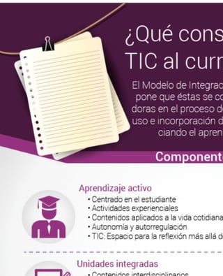 Integración TIC en Curriculum