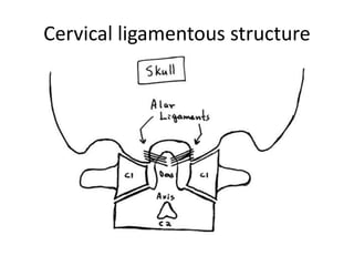 Cervical ligamentous structure
 
