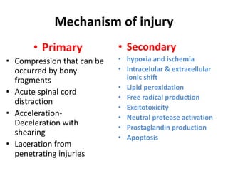 Mechanism of injury
• Primary
• Compression that can be
occurred by bony
fragments
• Acute spinal cord
distraction
• Acceleration-
Deceleration with
shearing
• Laceration from
penetrating injuries
• Secondary
• hypoxia and ischemia
• Intracelular & extracellular
ionic shift
• Lipid peroxidation
• Free radical production
• Excitotoxicity
• Neutral protease activation
• Prostaglandin production
• Apoptosis
 