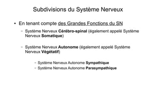 Subdivisions du Système Nerveux
● En tenant compte des Grandes Fonctions du SN
– Système Nerveux Cérébro-spinal (également appelé Système
Nerveux Somatique)
– Système Nerveux Autonome (également appelé Système
Nerveux Végétatif)
– Système Nerveux Autonome Sympathique
– Système Nerveux Autonome Parasympathique
 