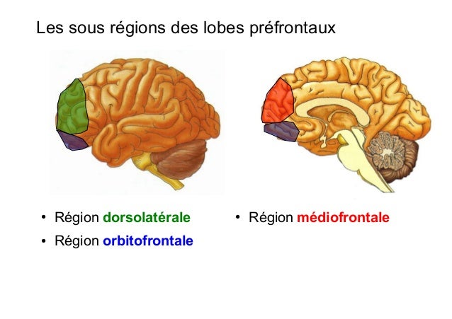 Comme traiter la douleur du cou vers lépaule