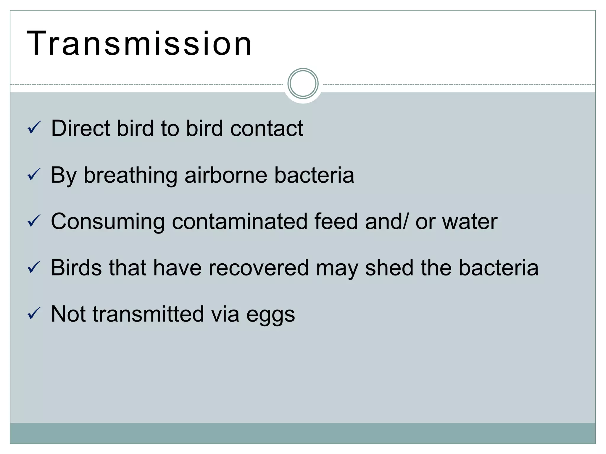Transmission
 Direct bird to bird contact
 By breathing airborne bacteria
 Consuming contaminated feed and/ or water
 Birds that have recovered may shed the bacteria
 Not transmitted via eggs
 