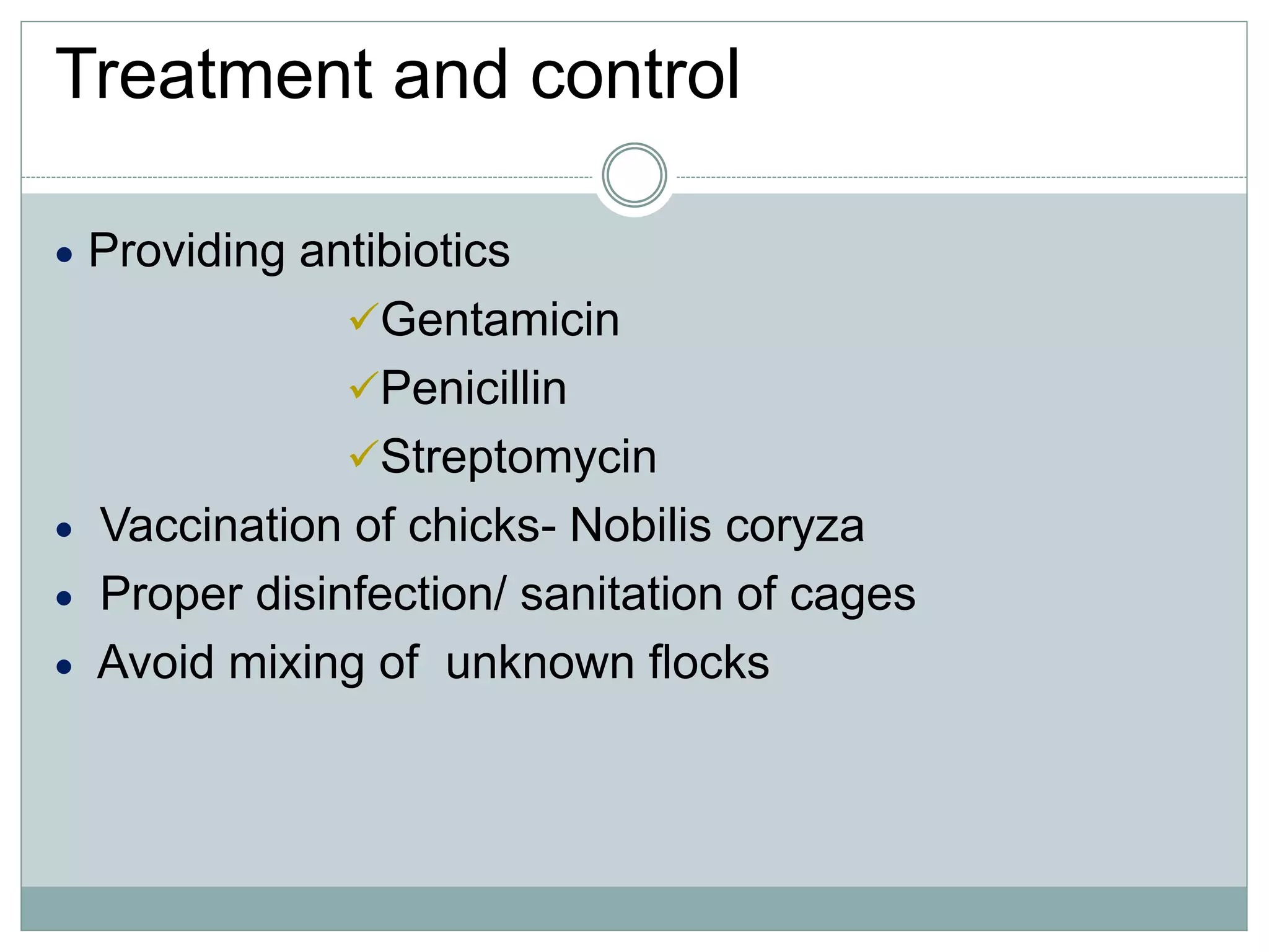 Treatment and control
 Providing antibiotics
Gentamicin
Penicillin
Streptomycin
 Vaccination of chicks- Nobilis coryza
 Proper disinfection/ sanitation of cages
 Avoid mixing of unknown flocks
 