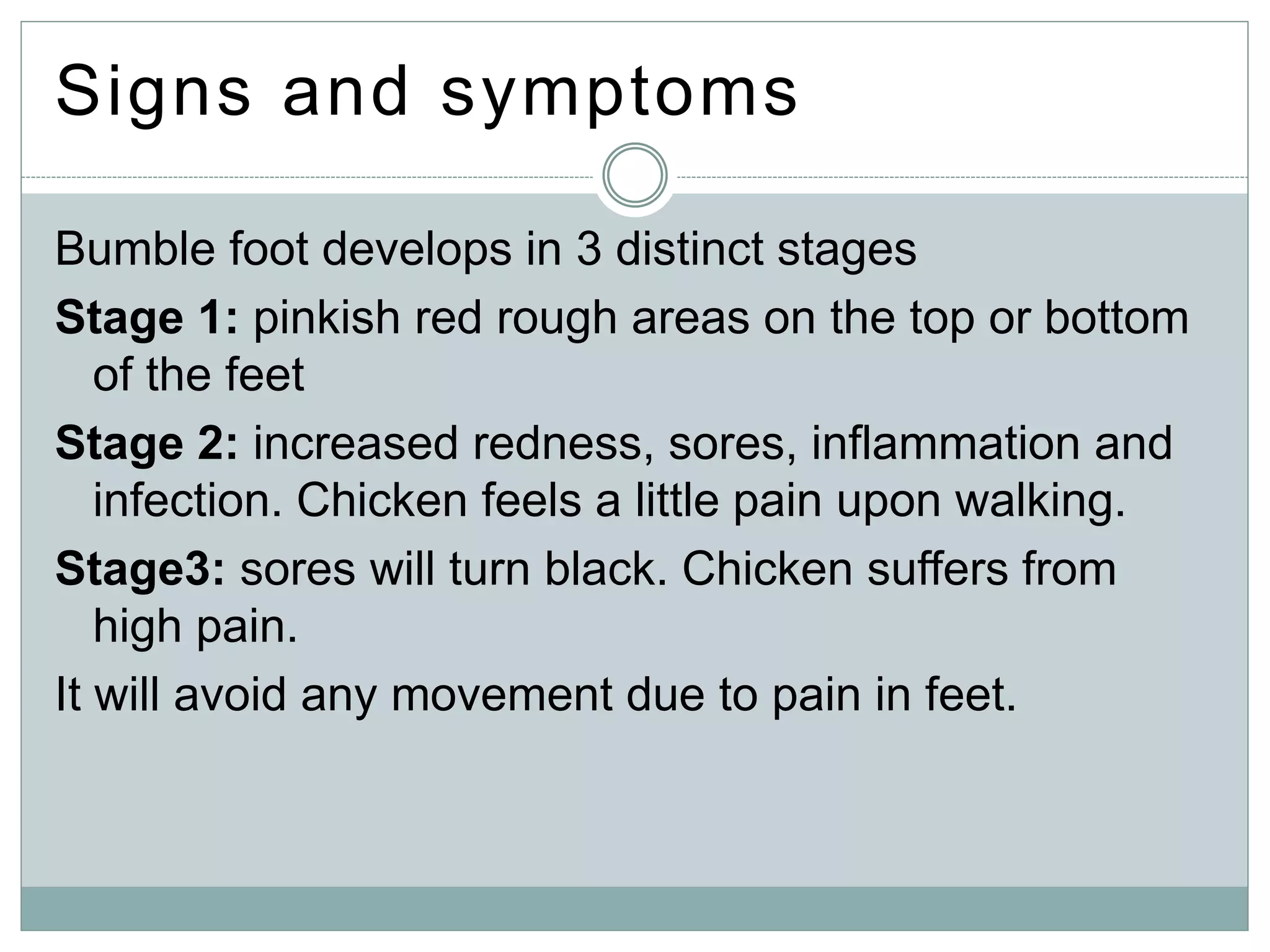 Signs and symptoms
Bumble foot develops in 3 distinct stages
Stage 1: pinkish red rough areas on the top or bottom
of the feet
Stage 2: increased redness, sores, inflammation and
infection. Chicken feels a little pain upon walking.
Stage3: sores will turn black. Chicken suffers from
high pain.
It will avoid any movement due to pain in feet.
 