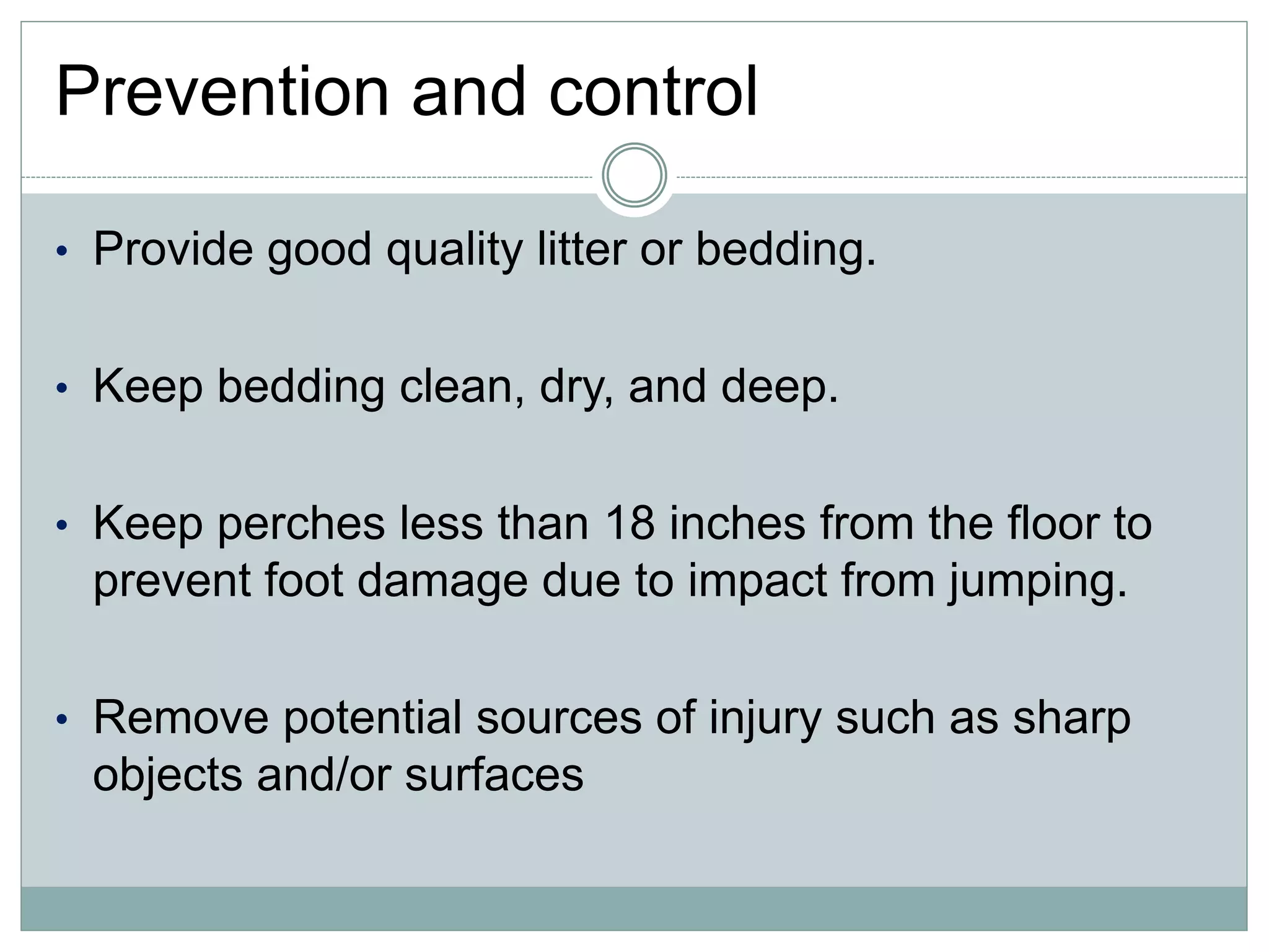 Prevention and control
• Provide good quality litter or bedding.
• Keep bedding clean, dry, and deep.
• Keep perches less than 18 inches from the floor to
prevent foot damage due to impact from jumping.
• Remove potential sources of injury such as sharp
objects and/or surfaces
 