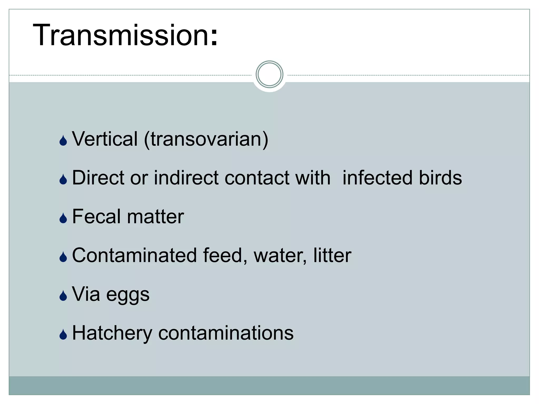  Vertical (transovarian)
 Direct or indirect contact with infected birds
 Fecal matter
 Contaminated feed, water, litter
 Via eggs
 Hatchery contaminations
Transmission:
 