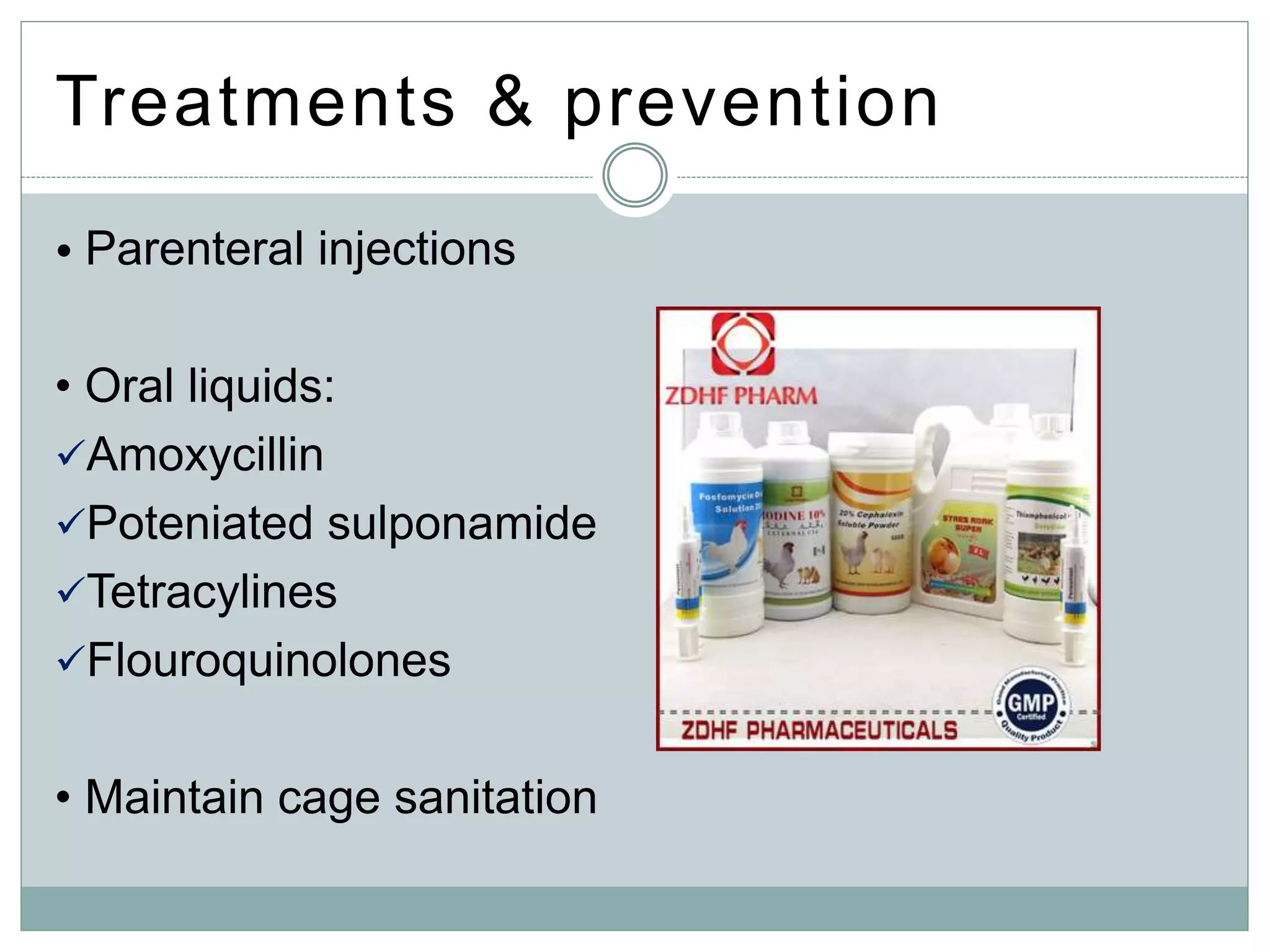 Treatments & prevention
• Parenteral injections
• Oral liquids:
Amoxycillin
Poteniated sulponamide
Tetracylines
Flouroquinolones
• Maintain cage sanitation
 