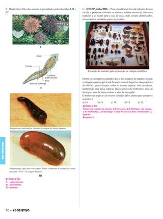 5. Quais são os filos dos animais representados pelos desenhos I, II e
III?
I
II
Sanguessuga iniciando a retirada de sangue de braço humano.
Sanguessuga, após um certo tempo. Notar o aumento de volume do corpo,
que está “cheio” de sangue humano.
III
6. (UNESP-junho/2011) – Para o insetário da feira de ciências de uma
escola, a professora instruiu os alunos a coletar insetos de diferentes
espécies e os trazer para a sala de aula, onde seriam identificados,
preservados e montados para a exposição.
Exemplo de insetário para exposição ou coleção científica.
Dentre os exemplares coletados, havia três espécies de aranhas; uma de
centopeia; quatro espécies de besouro; uma de lagartixa; duas espécies
de libélula; quatro vespas, todas da mesma espécie; três carrapatos,
também de uma única espécie; duas espécies de borboletas; duas de
formigas; uma de louva-a-deus; e uma de escorpião.
O número de espécies de insetos coletado pelos alunos para compor o
insetário é
a) 24. b) 19. c) 18. d) 14. e) 12.
RESOLUÇÃO:
I. equinodermas
II. platielminte
III. anelídeo
RESOLUÇÃO:
Número de espécies de insetos: 4 de besouros, 2 de libélulas, 1 de vespas,
2 de borboletas, 2 de formigas e uma de louva-a-deus; totalizando 12
espécies.
Resposta: E
10 –
BIOLOGIABDE
C1_BDE_Exerc_Biolog_Prof_2012_Tony 31/10/11 14:09 Page 10
 