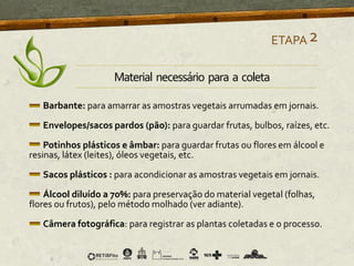 Barbante: para amarrar as amostras vegetais arrumadas em jornais.
Envelopes/sacos pardos (pão): para guardar frutas, bulbos, raízes, etc.
Potinhos plásticos e âmbar: para guardar frutas ou flores em álcool e
resinas, látex (leites), óleos vegetais, etc.
Sacos plásticos : para acondicionar as amostras vegetais em jornais.
Álcool diluído a 70%: para preservação do material vegetal (folhas,
flores ou frutos), pelo método molhado (ver adiante).
Câmera fotográfica: para registrar as plantas coletadas e o processo.
ETAPA2
Material necessário para a coleta
 