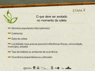 Nome(s) popular(es) da(s) planta(s)
Coletor(a)
Data da coleta
Localidade mais precisa possível (referências físicas, comunidade,
município, estado)
Tipo de habitat ou ambiente de ocorrência
Ocorrência (espontânea ou cultivada)
ETAPA2
O que deve ser anotado
no momento da coleta
 