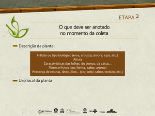 Descrição da planta:
Hábito ou tipo biológico (erva, arbusto, árvore, cipó, etc.)
Altura
Características das folhas, do tronco, da casca...
Flores e frutos (cor, forma, sabor, aroma)
Presença de resinas, látex, óleo... (cor, odor, sabor, textura, etc.)
Uso local da planta
ETAPA2
O que deve ser anotado
no momento da coleta
 