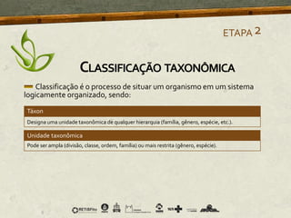 Classificação é o processo de situar um organismo em um sistema
logicamente organizado, sendo:
Táxon
Designa uma unidade taxonômica de qualquer hierarquia (família, gênero, espécie, etc.).
Pode ser ampla (divisão, classe, ordem, família) ou mais restrita (gênero, espécie).
ETAPA2
CLASSIFICAÇÃO TAXONÔMICA
Táxon
Unidade taxonômica
 