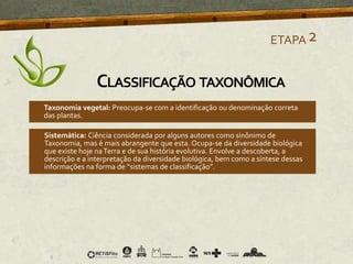 Taxonomia vegetal: Preocupa-se com a identificação ou denominação correta
das plantas.
Sistemática: Ciência considerada por alguns autores como sinônimo de
Taxonomia, mas é mais abrangente que esta. Ocupa-se da diversidade biológica
que existe hoje naTerra e de sua história evolutiva. Envolve a descoberta, a
descrição e a interpretação da diversidade biológica, bem como a síntese dessas
informações na forma de “sistemas de classificação”.
ETAPA2
CLASSIFICAÇÃO TAXONÔMICA
 