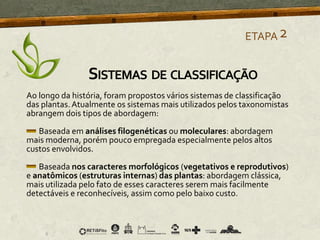 Ao longo da história, foram propostos vários sistemas de classificação
das plantas.Atualmente os sistemas mais utilizados pelos taxonomistas
abrangem dois tipos de abordagem:
Baseada em análises filogenéticas ou moleculares: abordagem
mais moderna, porém pouco empregada especialmente pelos altos
custos envolvidos.
Baseada nos caracteres morfológicos (vegetativos e reprodutivos)
e anatômicos (estruturas internas) das plantas: abordagem clássica,
mais utilizada pelo fato de esses caracteres serem mais facilmente
detectáveis e reconhecíveis, assim como pelo baixo custo.
ETAPA2
SISTEMAS DE CLASSIFICAÇÃO
 