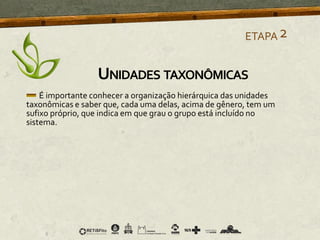 É importante conhecer a organização hierárquica das unidades
taxonômicas e saber que, cada uma delas, acima de gênero, tem um
sufixo próprio, que indica em que grau o grupo está incluído no
sistema.
ETAPA2
UNIDADES TAXONÔMICAS
 