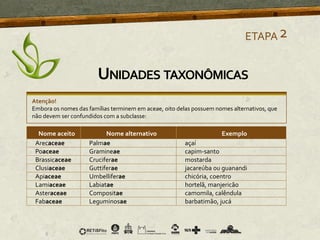 Nome aceito Nome alternativo Exemplo
Arecaceae Palmae açaí
Poaceae Gramineae capim-santo
Brassicaceae Cruciferae mostarda
Clusiaceae Guttiferae jacareúba ou guanandi
Apiaceae Umbelliferae chicória, coentro
Lamiaceae Labiatae hortelã, manjericão
Asteraceae Compositae camomila, calêndula
Fabaceae Leguminosae barbatimão, jucá
Atenção!
Embora os nomes das famílias terminem em aceae, oito delas possuem nomes alternativos, que
não devem ser confundidos com a subclasse:
ETAPA2
UNIDADES TAXONÔMICAS
 