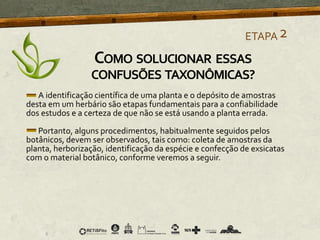 A identificação científica de uma planta e o depósito de amostras
desta em um herbário são etapas fundamentais para a confiabilidade
dos estudos e a certeza de que não se está usando a planta errada.
Portanto, alguns procedimentos, habitualmente seguidos pelos
botânicos, devem ser observados, tais como: coleta de amostras da
planta, herborização, identificação da espécie e confecção de exsicatas
com o material botânico, conforme veremos a seguir.
ETAPA2
COMO SOLUCIONAR ESSAS
CONFUSÕES TAXONÔMICAS?
 