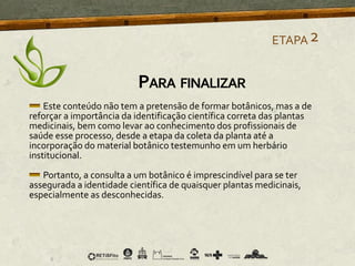 PARA FINALIZAR
Este conteúdo não tem a pretensão de formar botânicos, mas a de
reforçar a importância da identificação científica correta das plantas
medicinais, bem como levar ao conhecimento dos profissionais de
saúde esse processo, desde a etapa da coleta da planta até a
incorporação do material botânico testemunho em um herbário
institucional.
Portanto, a consulta a um botânico é imprescindível para se ter
assegurada a identidade científica de quaisquer plantas medicinais,
especialmente as desconhecidas.
ETAPA2
 