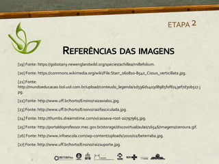 [19] Fonte: https://gobotany.newenglandwild.org/species/achillea/millefolium.
[20] Fonte: https://commons.wikimedia.org/wiki/File:Starr_060810-8540_Cissus_verticillata.jpg.
[21] Fonte:
http://mundoeducacao.bol.uol.com.br/upload/conteudo_legenda/1d596d1403d8985f0f6743ef7d30b517.j
pg.
[22] Fonte: http://www.uff.br/horto/Ensino/raizaxial01.jpg.
[23] Fonte: http://www.uff.br/horto/Ensino/raizfasciculada.jpg.
[24] Fonte: http://thumbs.dreamstime.com/x/cassava-root-20797965.jpg.
[25] Fonte: http://portaldoprofessor.mec.gov.br/storage/discovirtual/aulas/16546/imagens/cenoura.gif.
[26] Fonte: http://www.infoescola.com/wp-content/uploads/2010/02/beterraba.jpg.
[27] Fonte: http://www.uff.br/horto/Ensino/raizsuporte.jpg.
ETAPA2
REFERÊNCIAS DAS IMAGENS
 