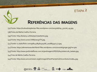 [37] Fonte: https://tudosobreplantas.files.wordpress.com/2013/06/tsp_371716_vg.jpg.
[38] Fotos de Márlia Coelho-Ferreira.
[39] Fonte: http://botany.cz/foto/ipomoeaherb2.jpg.
[40] Fonte: http://www.arara.fr/MaracujaTH.jpg.
[41] Fonte: c1.staticflickr.com/9/8241/8460379266_a1068535c0_b.jpg.
[42] Fonte: https://alimentosaudeinfantil.files.wordpress.com/2010/06/ginger.jpg?w=500.
[43] Fonte: http://www.jardimdeflores.com.br/jardinagem/JPEGS/A47tuberculo_batata.jpg.
[44] Foto de Márlia Coelho-Ferreira.
[45] Fonte: http://www.ancusimorari.org/Immagini/FotoPiante/ColchicumAutumnale4.jpg.
ETAPA2
REFERÊNCIAS DAS IMAGENS
 
