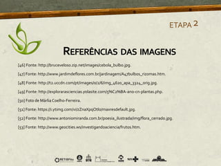 [46] Fonte: http://bruceveloso.zip.net/images/cebola_bulbo.jpg.
[47] Fonte: http://www.jardimdeflores.com.br/jardinagem/A47bulbos_rizomas.htm.
[48] Fonte: http://t2.uccdn.com/pt/images/0/2/6/img_4620_apa_3324_orig.jpg.
[49] Fonte: http://explorarasciencias.yolasite.com/5%C2%BA-ano-cn-plantas.php.
[50] Foto de Márlia Coelho-Ferreira.
[51] Fonte: https://i.ytimg.com/vi/zZnaXpqOtlo/maxresdefault.jpg.
[52] Fonte: http://www.antoniomiranda.com.br/poesia_ilustrada/img/flora_cerrado.jpg.
[53] Fonte: http://www.geocities.ws/investigandoaciencia/frutos.htm.
ETAPA2
REFERÊNCIAS DAS IMAGENS
 