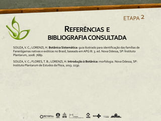 SOUZA,V. C.; LORENZI, H. Botânica Sistemática: guia ilustrado para identificação das famílias de
Fanerógamas nativas e exóticas no Brasil, baseado em APG III. 3. ed. Nova Odessa, SP: Instituto
Plantarum, 2008. 768p.
SOUZA,V. C.; FLORES,T. B.; LORENZI, H. Introdução à Botânica: morfologia. Nova Odessa, SP:
Instituto Plantarum de Estudos da Flora, 2013. 223p.
ETAPA2
REFERÊNCIAS E
BIBLIOGRAFIACONSULTADA
 