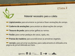 Lápis/caneta: para enumerar os jornais e fazer anotações de campo.
Caderno de anotações: para anotar as observações de campo.
Tesoura de poda: para cortar galhos ou ramos.
Facão: para cortar pedaços de casca, cipós, etc.
Prensa de madeira: para acondicionar as amostras vegetais.
Jornais: para arrumar as plantas; para cada amostra é utilizada uma
página de jornal dobrada ao meio.
ETAPA2
Material necessário para a coleta
 