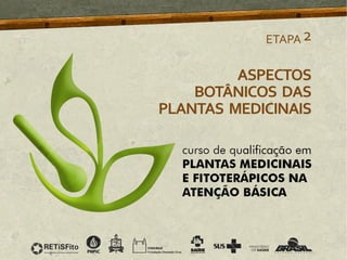 ASPECTOS
BOTÂNICOS DAS
PLANTAS MEDICINAIS
ETAPA2
 
