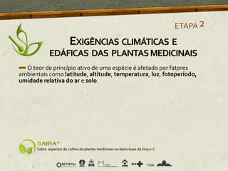 O teor de princípio ativo de uma espécie é afetado por fatores
ambientais como latitude, altitude, temperatura, luz, fotoperíodo,
umidade relativa do ar e solo.
ETAPA2
EXIGÊNCIAS CLIMÁTICAS E
EDÁFICAS DAS PLANTASMEDICINAIS
 