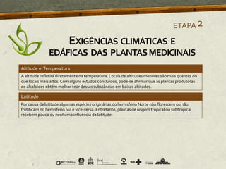 A altitude refletirá diretamente na temperatura. Locais de altitudes menores são mais quentes do
que locais mais altos. Com alguns estudos concluídos, pode-se afirmar que as plantas produtoras
de alcaloides obtém melhor teor dessas substâncias em baixas altitudes.
Latitude
Por causa da latitude algumas espécies originárias do hemisfério Norte não florescem ou não
frutificam no hemisfério Sul e vice-versa. Entretanto, plantas de origem tropical ou subtropical
recebem pouca ou nenhuma influência da latitude.
ETAPA2
Altitude e Temperatura
EXIGÊNCIAS CLIMÁTICAS E
EDÁFICAS DAS PLANTASMEDICINAIS
 