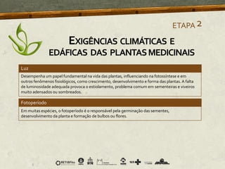 Luz
Desempenha um papel fundamental na vida das plantas, influenciando na fotossíntese e em
outros fenômenos fisiológicos, como crescimento, desenvolvimento e forma das plantas. A falta
de luminosidade adequada provoca o estiolamento, problema comum em sementeiras e viveiros
muito adensados ou sombreados.
Fotoperíodo
Em muitas espécies, o fotoperíodo é o responsável pela germinação das sementes,
desenvolvimento da planta e formação de bulbos ou flores.
ETAPA2
EXIGÊNCIAS CLIMÁTICAS E
EDÁFICAS DAS PLANTASMEDICINAIS
 