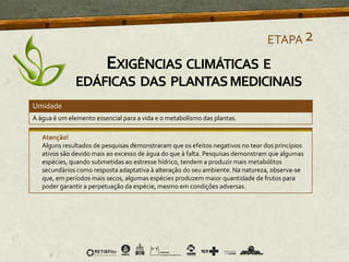 A água é um elemento essencial para a vida e o metabolismo das plantas.
Atenção!
Alguns resultados de pesquisas demonstraram que os efeitos negativos no teor dos princípios
ativos são devido mais ao excesso de água do que à falta. Pesquisas demonstram que algumas
espécies, quando submetidas ao estresse hídrico, tendem a produzir mais metabólitos
secundários como resposta adaptativa à alteração do seu ambiente. Na natureza, observa-se
que, em períodos mais secos, algumas espécies produzem maior quantidade de frutos para
poder garantir a perpetuação da espécie, mesmo em condições adversas.
ETAPA2
Umidade
EXIGÊNCIAS CLIMÁTICAS E
EDÁFICAS DAS PLANTASMEDICINAIS
 