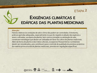 Atenção!
Fatores relativos às condições de solo e clima não podem ser controlados. Entretanto,
práticas agrícolas adequadas, especialmente no que diz respeito à seleção das espécies a
serem cultivadas, sua época de plantio, bem como a correção e a adubação do solo,
constituem estratégias que devem ser utilizadas em favor do cultivo de plantas medicinais.
Além da forma de plantio e dos tratos culturais, os aspectos fitossanitários e ambientais
devem ser considerados, pois contribuem para o controle de qualidade do processo produtivo
da matéria-prima oriunda de plantas medicinais, previsto em regulações específicas.
ETAPA2
EXIGÊNCIAS CLIMÁTICAS E
EDÁFICAS DAS PLANTASMEDICINAIS
 