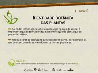 Além das informações sobre as pesquisas na área da saúde, é
importante que se tenha certeza da identificação da planta que se
pretende cultivar.
Não são raras as confusões que acontecem, como, por exemplo, as
que ocorrem quando se mencionam os nomes populares.
ETAPA2
IDENTIDADE BOTÂNICA
DAS PLANTAS
 