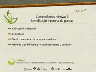 Aplicação inadequada
Intoxicação
Plantio de espécie não adequada ao local
Perda de credibilidade, principalmente para o produtor
ETAPA2
Consequências relativas à
identificação incorreta de plantas
 