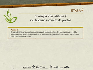Atenção!
É necessário tratar as plantas medicinais pelo nome científico. Os nomes populares estão
sujeitos a regionalismos, originando uma confusão com plantas tóxicas ou com plantas com
princípios ativos diferentes.
ETAPA2
Consequências relativas à
identificação incorreta de plantas
 