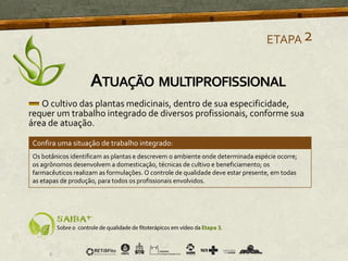 O cultivo das plantas medicinais, dentro de sua especificidade,
requer um trabalho integrado de diversos profissionais, conforme sua
área de atuação.
Confira uma situação de trabalho integrado:
Os botânicos identificam as plantas e descrevem o ambiente onde determinada espécie ocorre;
os agrônomos desenvolvem a domesticação, técnicas de cultivo e beneficiamento; os
farmacêuticos realizam as formulações. O controle de qualidade deve estar presente, em todas
as etapas de produção, para todos os profissionais envolvidos.
ETAPA2
ATUAÇÃO MULTIPROFISSIONAL
 
