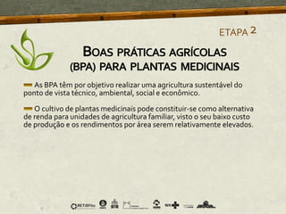 As BPA têm por objetivo realizar uma agricultura sustentável do
ponto de vista técnico, ambiental, social e econômico.
O cultivo de plantas medicinais pode constituir-se como alternativa
de renda para unidades de agricultura familiar, visto o seu baixo custo
de produção e os rendimentos por área serem relativamente elevados.
ETAPA2
BOAS PRÁTICAS AGRÍCOLAS
(BPA) PARA PLANTAS MEDICINAIS
 
